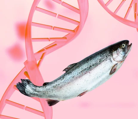 PDRN salmon DNA